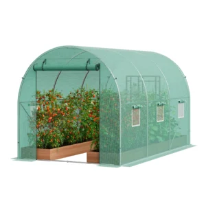 Walk-in Tunnel Greenhouse